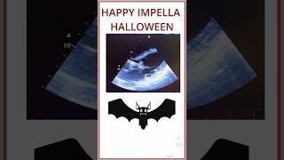 HAPPY IMPELLA HALLOWEEN A BAT BY THE INLET impella [upl. by Kachine]