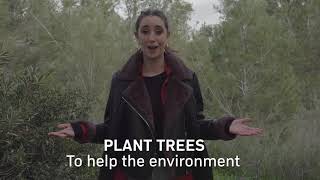 Plant a Tree in Israel with Jewish National Fund  Tu BiShvat [upl. by Olney488]