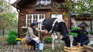 Cheesemaking  Making Cheese From Fresh Cows Milk [upl. by Patrica605]