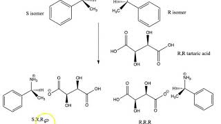 Resolution of a Racemic Mixture [upl. by Eesac]