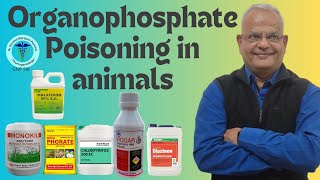 Understanding Organophosphate Malathion Rogar Monocrotophos Poisoning In Animals with GNP Sir [upl. by Aissatan]