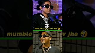 mumble rap mc stan  mumble rap mc stan  purav jha  mc stan  carry on pk  2024 [upl. by Orfinger502]