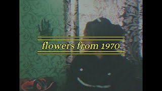 flowers from 1970  a DreamNotFound fanfiction by astr0nomika  original by Moonlight [upl. by Sardse]