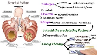 Bronchial asthma pharmacology [upl. by Knut]