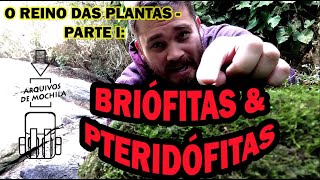 O REINO das PLANTAS BRIÓFITAS e PTERIDÓFITAS  documentário parte I [upl. by Akcirehs920]