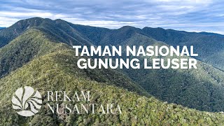 Taman Nasional Gunung Leuser  Leuser Ecosystem Rainforest [upl. by Tnek]