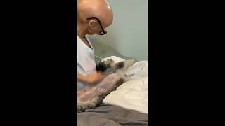 Adalia Rose last video adalia Rose death news [upl. by Nerrawed]