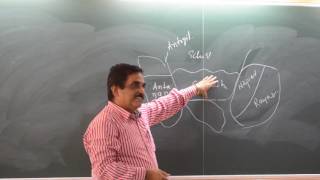 Stratigraphy and Tectonics of Dharwar and South India Part  78 by Prof T K Biswal IIT BOMBAY [upl. by Anovad339]