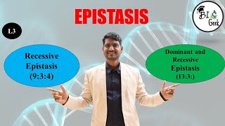 Genetics Epistasis Recessive Epistasis amp Dominant Recessive Epistasis BScMSc Life Science [upl. by Dominick571]