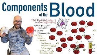 Components of Blood [upl. by Aseneg538]