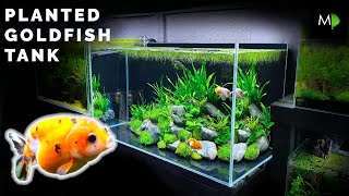 How To Planted Goldfish Aquarium Tutorial  The Ranchu Crew [upl. by Vallery]