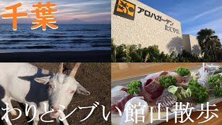 【千葉】冬もアロハな南房総・館山を散歩してきた！【人気観光地】 [upl. by Edra377]