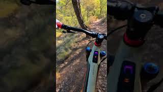 Curveo 🚴‍♂️⛰️ ebike mtb enduromtb [upl. by Ardiekal988]