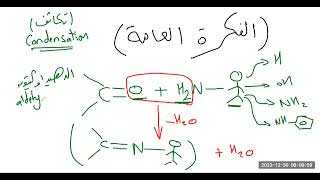 تفاعلات الألدهيدات والكيتونات مع مشتقات امونيا Reaction of aldehydes amp ketones with NH3 derivatives [upl. by Ydnil814]