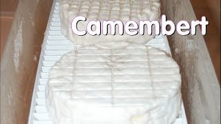 Making Camembert at Home [upl. by Modesta]