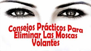 Como Eliminar Las Moscas Volantes  Consejos Prácticos y Sencillos [upl. by Naud929]