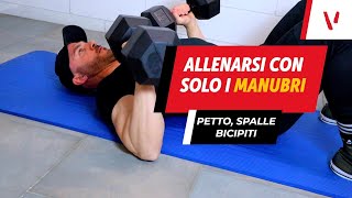 Allenamento petto e bicipiti con i manubri esercizi efficaci [upl. by Furey612]