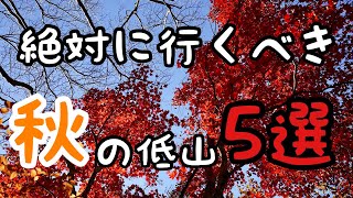 【登山】初心者でも楽しめる秋のおすすめ低山５選 [upl. by Aisiat]