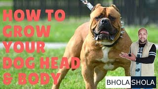 How to Grow Dog Head amp Body Structure  Bhola Shola [upl. by Knah]