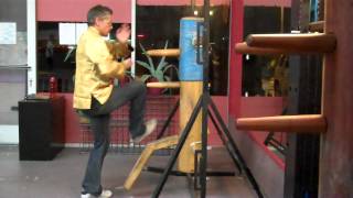 Secrets of Ip Man 6th Section Wing Chun Wooden Dummy [upl. by Lilaj]