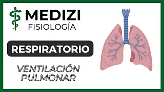 Clase 37 Fisiología Respiratoria  Ventilación Pulmonar IGdoctorpaiva [upl. by Kirschner26]