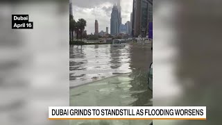 Torrential Rains and Flooding Bring Dubai to a Halt [upl. by Notserk]