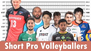 7 Short Pro Volleyball Players That Are Still Beasts [upl. by Eugenio]