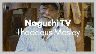 Noguchi TV Thaddeus Mosley [upl. by Waldron778]