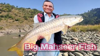 Catch Big Golden Mahseer  Mahseer Fishing at Poonch River  डोरी में एक बहुत बड़ी मछली बंधी हुई थी [upl. by Pepito]