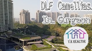 DLF The Camellias condominium Luxury Apartments 7500Sqft Golf Facinggurgaon [upl. by Ettenahc470]