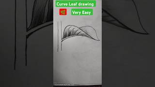 How to draw Leaf  how to draw curve leaves shorts [upl. by Ahtan498]