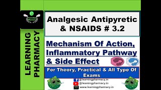 32  Mechanism Of Action amp Side Effects of Analgesic Antipyretic amp NSAIDS DCMA Tutorial in Hindi [upl. by Ytirahc483]