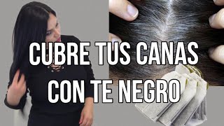 Poderoso Tinte natural para Teñir el cabello sin maltratarlo  aprende a prepararlo [upl. by Eciened982]