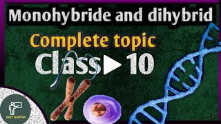 monohybrid and dihybrid cross class 10  heredity and evolution  class 10 science [upl. by Lars]