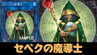 Sebeks Sorcerer DECK  Testing NEW Card [upl. by Selie]