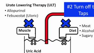 Understanding Gout [upl. by Seessel868]