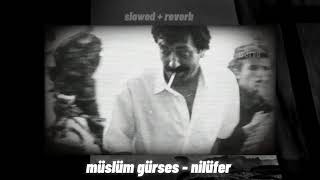 Müslüm Gürses Nilüfer slowed [upl. by Oakley]