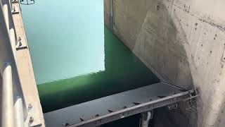 Spillway Flap Gate Opening [upl. by Naihs]