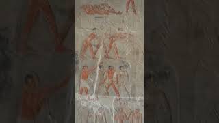 Inside the Tombs in Saqqara Egypt travel wealth africa kings pharaohs amen hieroglyphics [upl. by Ardnasac]