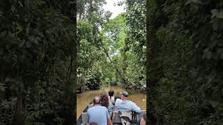 Kinabatangan River tw7d6n1 borneooverland borneooverlandasia sukau sabahtourism exploresabah [upl. by Anek]