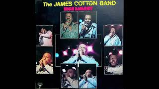 The James Cotton Band – Caldonia [upl. by Nonac]