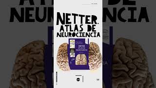 Netter Atlas de neurociencia [upl. by Mann]