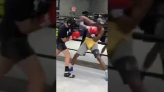 LEAK Shakur Stevenson “HURT” Liam Paro SPARRING LEAKED by Shakur to Debunk the RUMORS [upl. by Aznola]