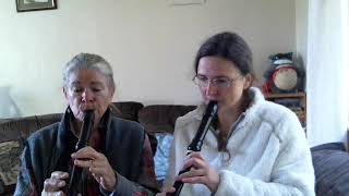 Treble alto Recorder duet El Mishyo Guatemalan traditional on dolmetsch amp moeck recorders [upl. by Muhcon]