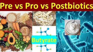 Cho Katsu 2 Pre Pro amp Postbiotics  The Gut Health Trinity [upl. by Pet645]