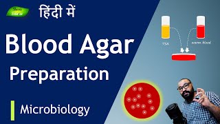 Blood Agar Media कैसे तैयार करें  Microbiology  Hemolysis Detection  Basic Science Series Hindi [upl. by Hayilaa]