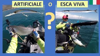 Pesca dal kayak traina col vivo o con artificiali O con entrambi [upl. by Gillie]