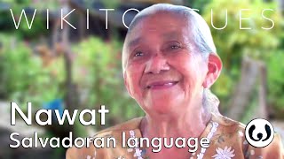 The Nahuat language casually spoken  Nantzin speaking Nawat  Wikitongues [upl. by Brouwer544]