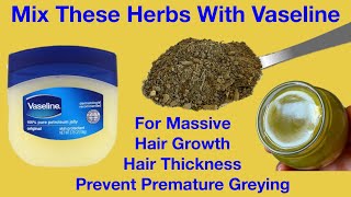 DIY Herbal Vaseline For Massive Hair Growth Thick Hair Prevent Premature Greying Use 2X Weekly [upl. by Lura]