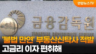 불법 만연 부동산신탁사 적발…고금리 이자 편취해  연합뉴스TV YonhapnewsTV [upl. by Zela]